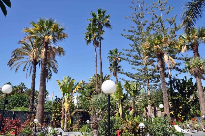 San Valentin & Terraflor Park Hotel Playa del Ingles  Exterior photo